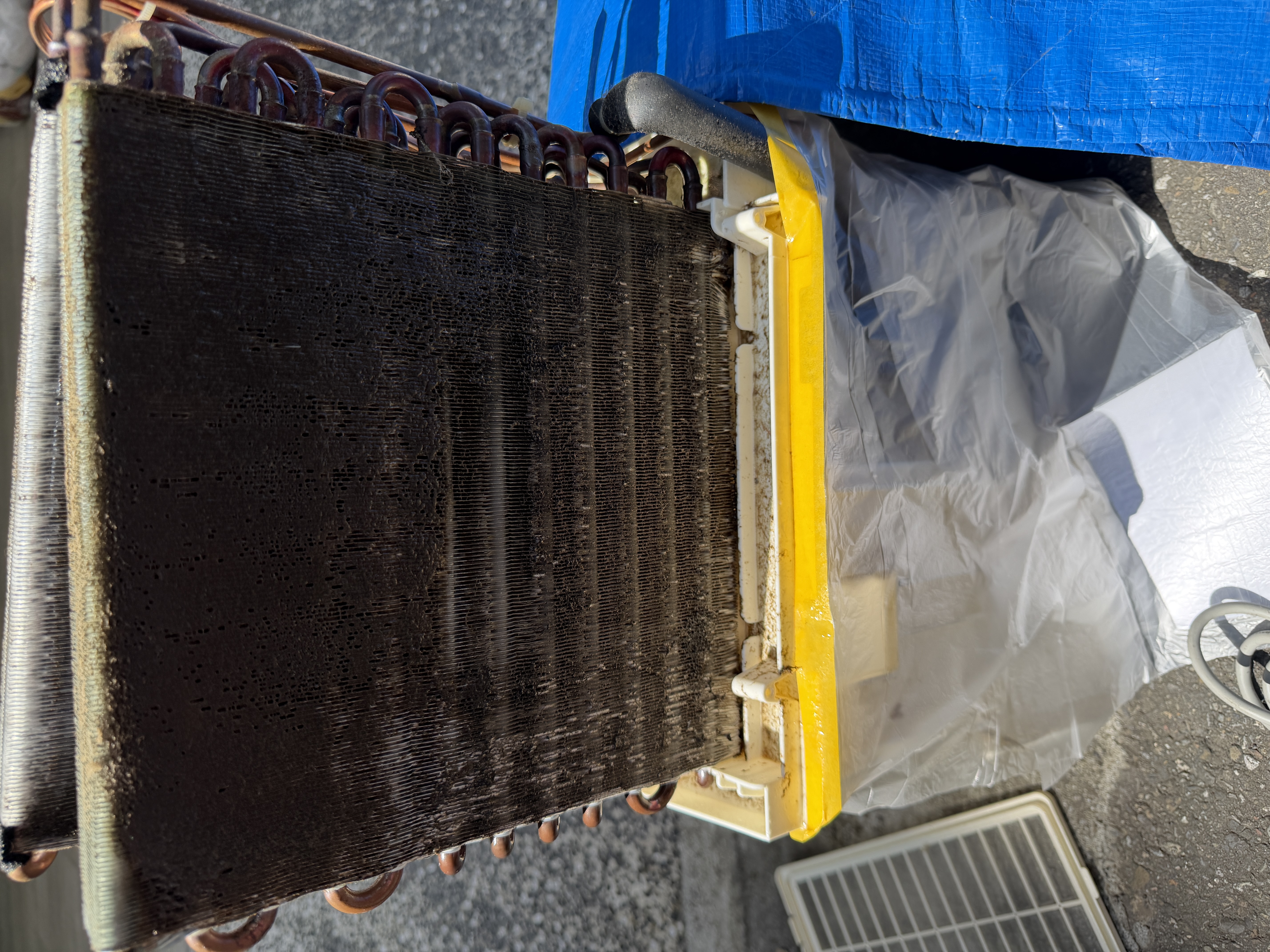 除濕機內部髒污照片